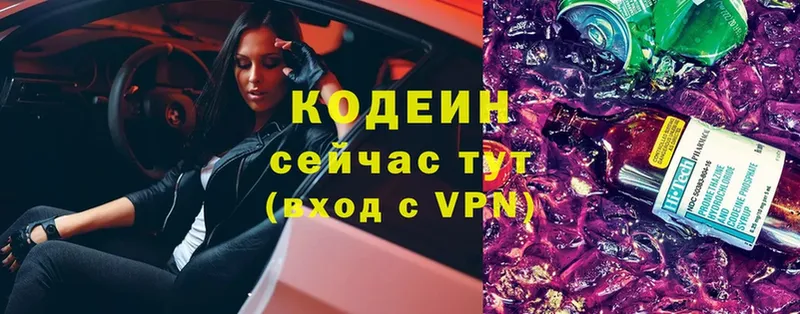 продажа наркотиков  Дубовка  blacksprut вход  Кодеиновый сироп Lean Purple Drank 