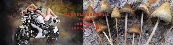 СК Майский