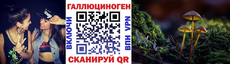 Псилоцибиновые грибы мухоморы Дубовка